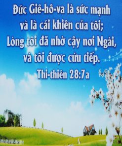 Tranh Ép Gỗ