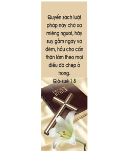 Câu Gốc Giấy