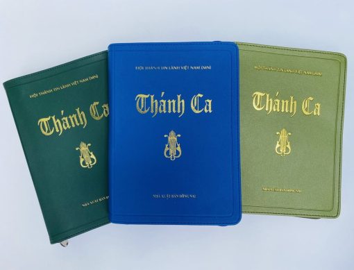 BÌA THÁNH CA ÉP NHỦ - Ảnh 2