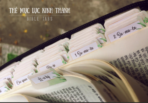 NGĂN SÁCH KINH THÁNH (BIBLE TABS) - Ảnh 4