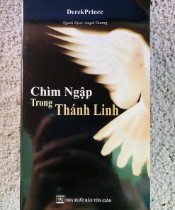 CHÌM NGẬP TRONG THÁNH LINH