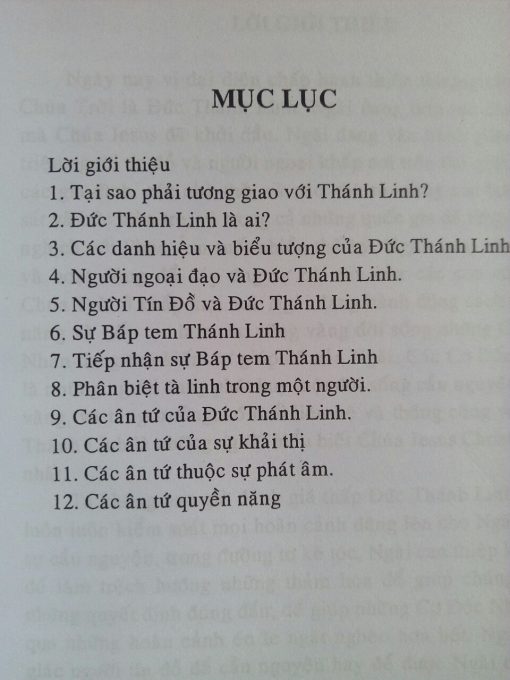 ĐỨC THÁNH LINH - NGƯỜI BẠN LỚN CỦA TÔI - Ảnh 2