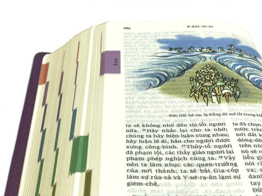 KINH THÁNH MẠ VÀNG (12X18cm) - Ảnh 3