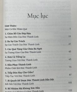 Alternative view of TIẾP ĐÓN ĐỨC THÁNH LINH