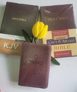 Alternative view of Kinh Thánh Tiếng Anh KJV