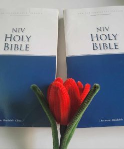 Kinh Thánh Tiếng Anh NIV