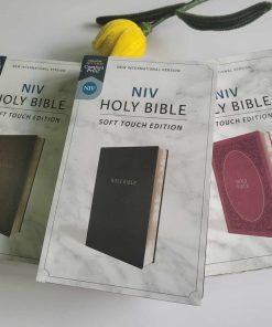 KINH THÁNH TIẾNG ANH NIV