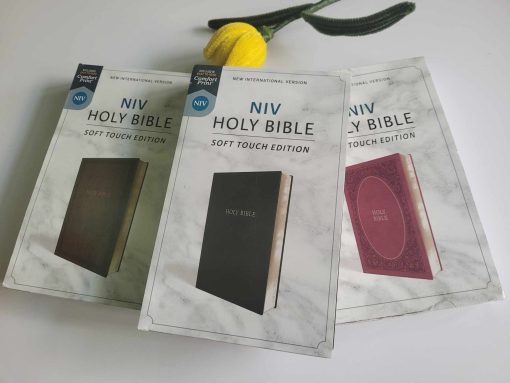 KINH THÁNH TIẾNG ANH NIV
