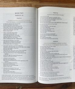 Alternative view of Kin Thánh Tiếng Anh NKJV