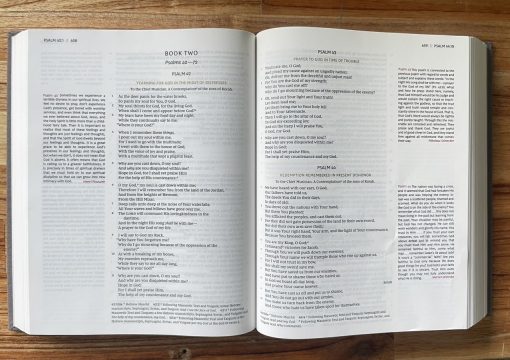Kin Thánh Tiếng Anh NKJV - Ảnh 2