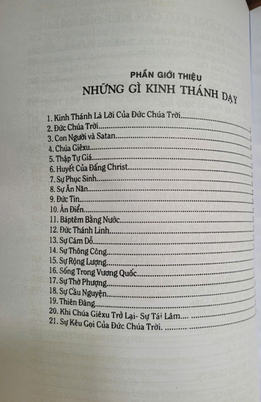CÂY GẬY CỦA NGƯỜI CHĂN BẦY - Ảnh 2