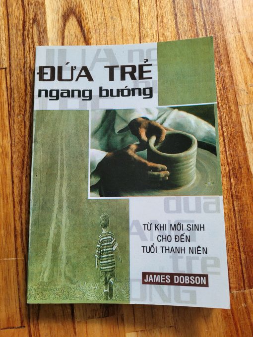 ĐỨA TRẺ NGANG BƯỚNG