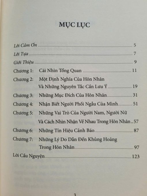 HÔN NHÂN SAO PHẢI NGHIÊM TRỌNG ĐẾN THẾ - Ảnh 3