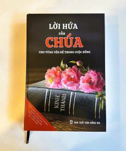 Alternative view of LỜI HỨA CỦA CHÚA cho từng vấn đề trong cuộc sống.